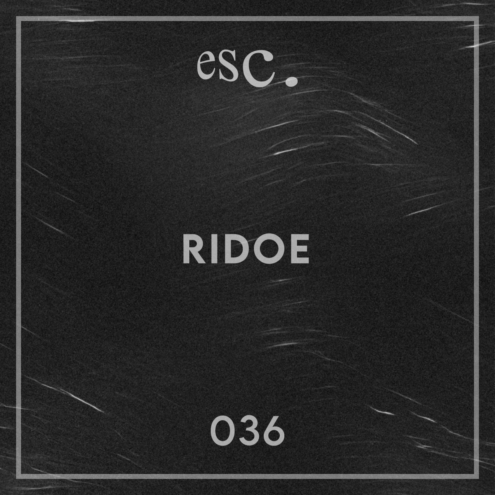 036 | Ridoe